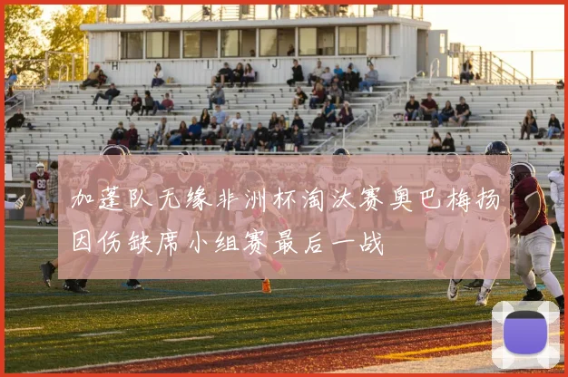 加蓬队无缘非洲杯淘汰赛奥巴梅扬因伤缺席小组赛最后一战