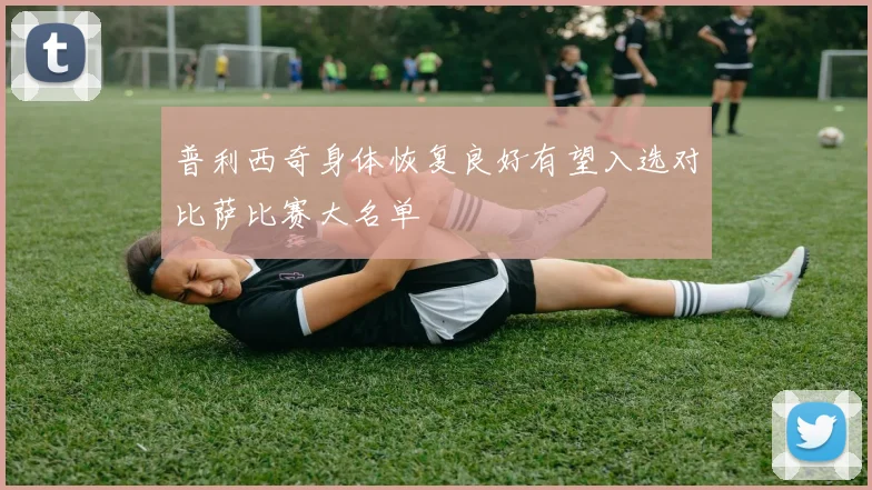 普利西奇身体恢复良好有望入选对比萨比赛大名单