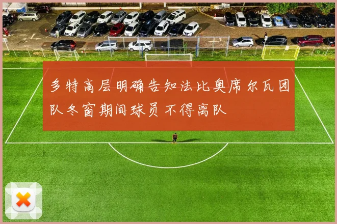 多特高层明确告知法比奥席尔瓦团队冬窗期间球员不得离队