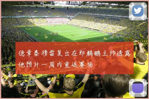 德章泰穆雷复出在即鹈鹕主帅透露他预计一周内重返赛场